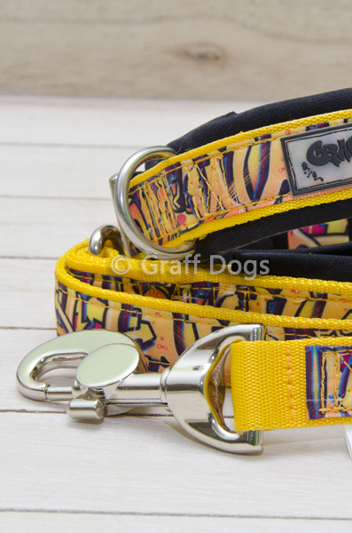 DG_leash_01